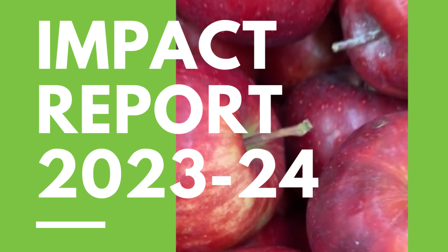 Impact report 2023-24