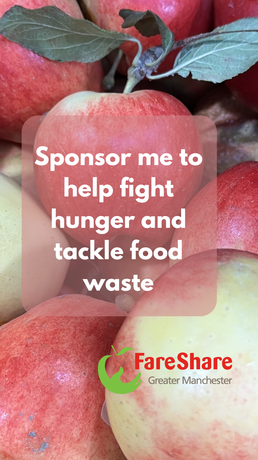 instagram story apple fundraiser
