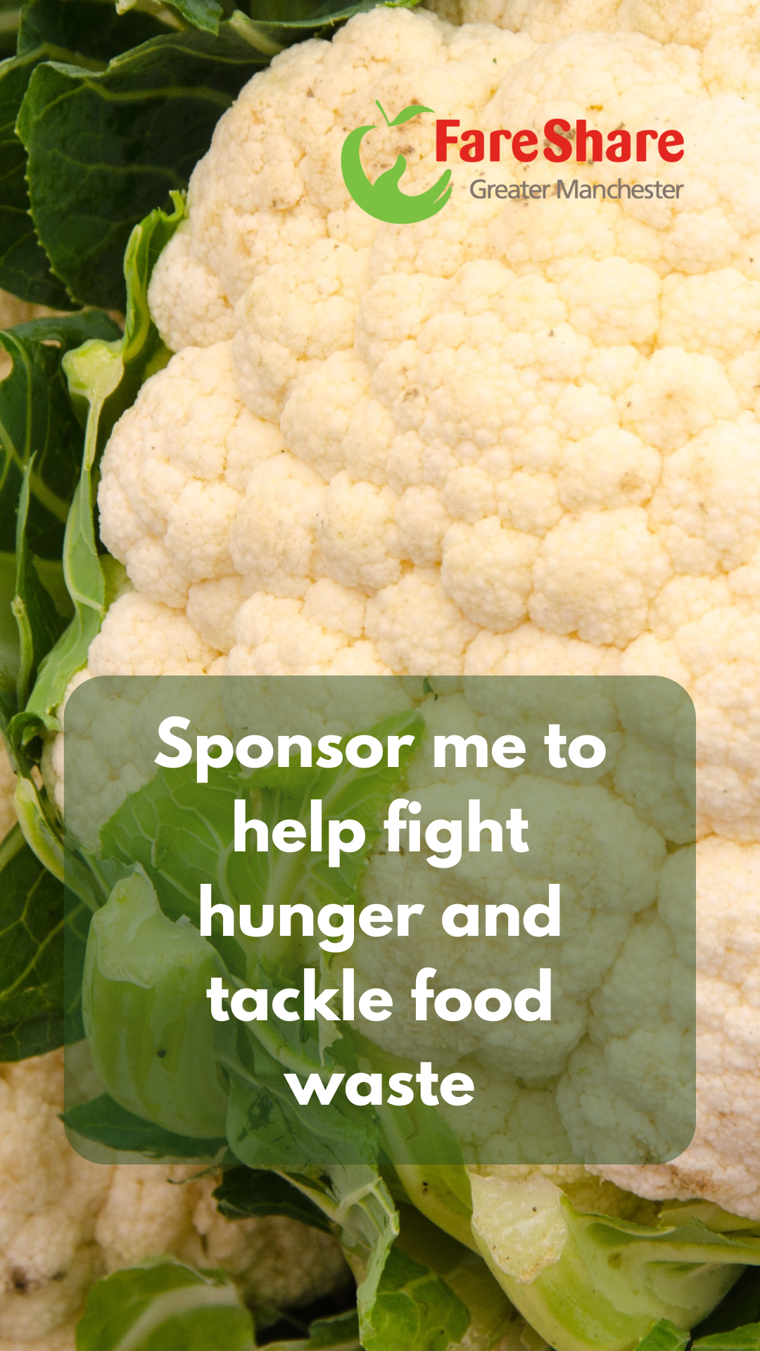 Sponsor me cauli IG Story